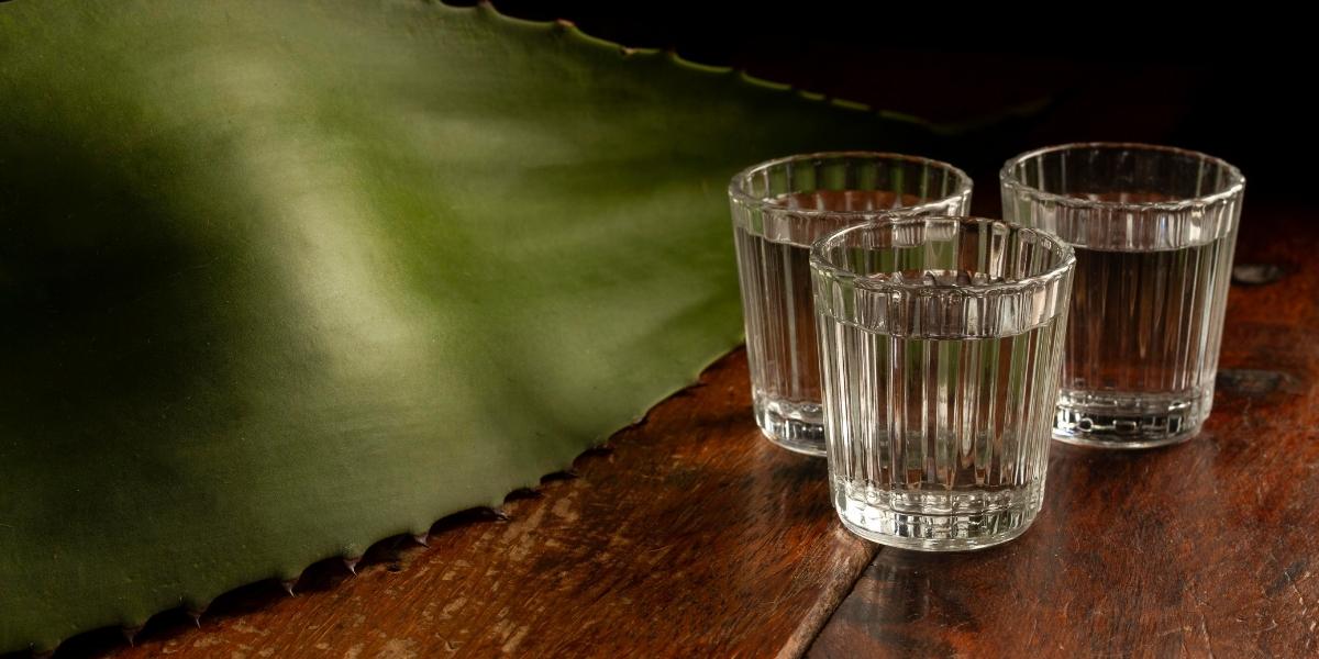 Kurz erklärt: Was ist ein Mezcal?