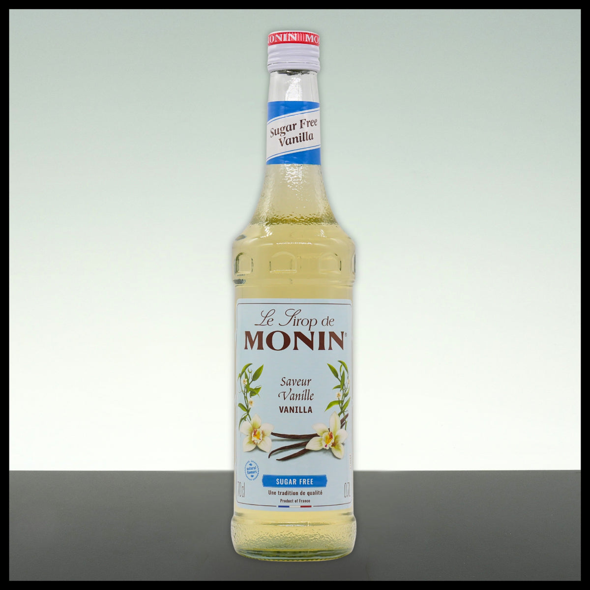 Monin Sirup ZUCKERFREI Vanille 0,7L - Trinklusiv