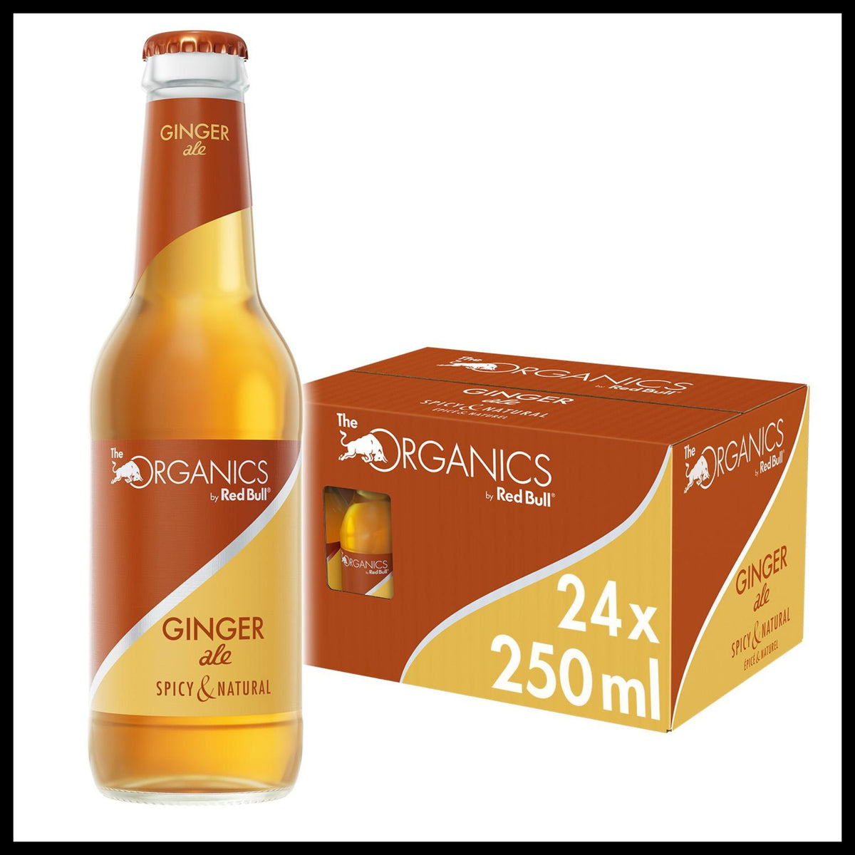 Organics by Red Bull Ginger Ale Flasche 0,25L - Trinklusiv