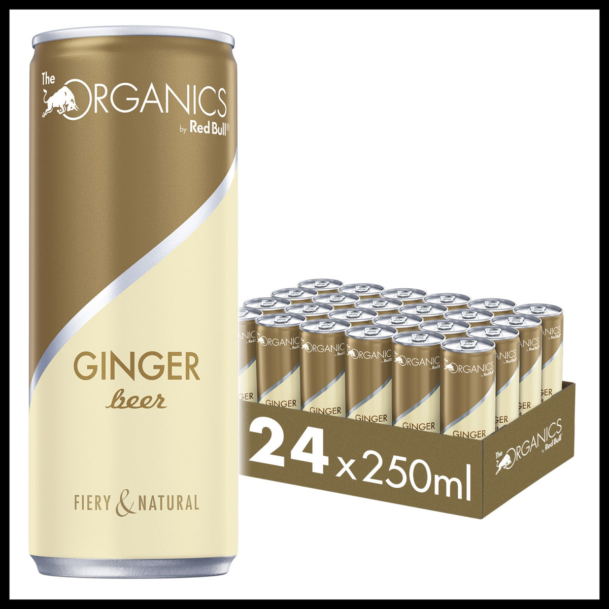 Organics by Red Bull Ginger Beer Dose 0,25L - Trinklusiv