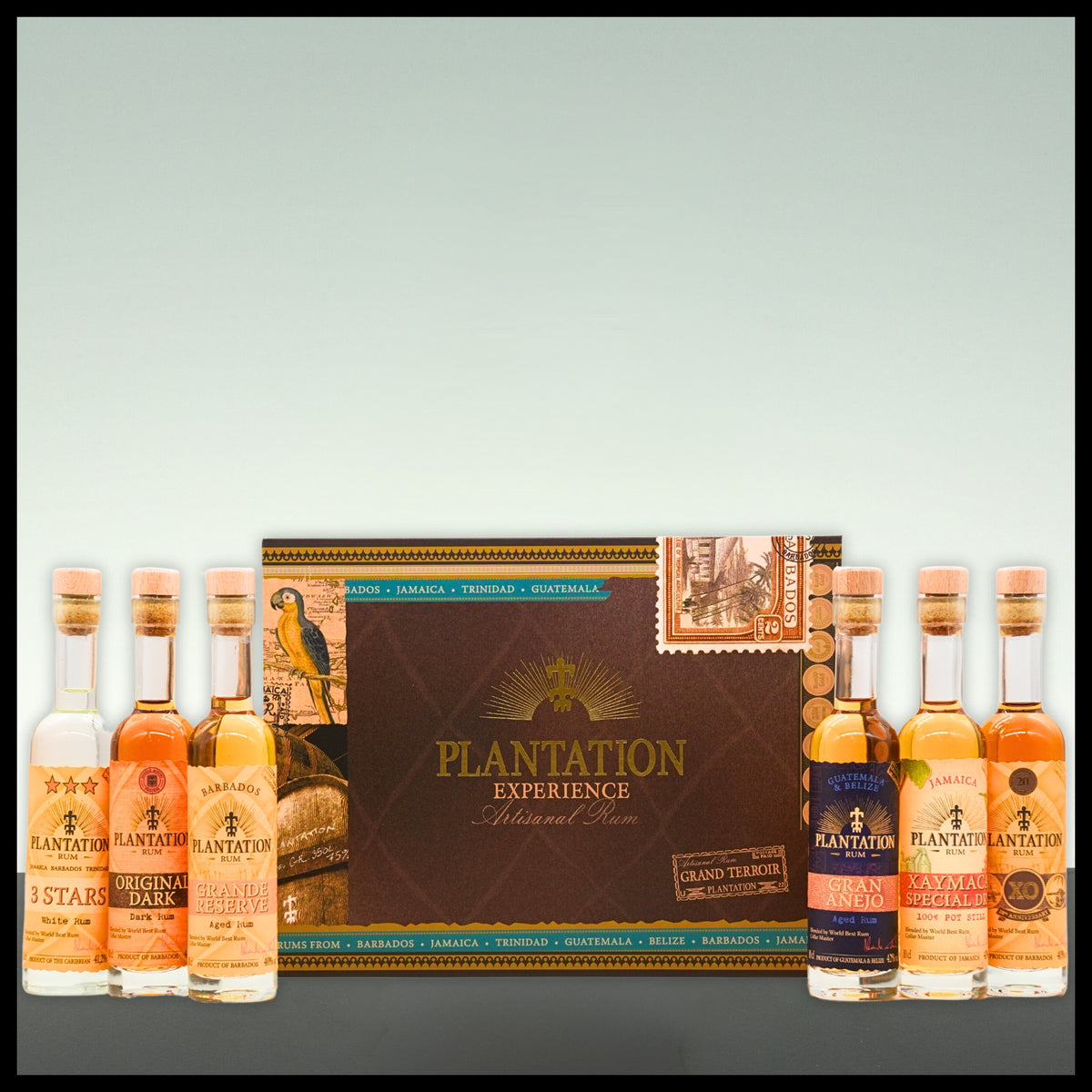 Plantation EXPERIENCE BOX Artisanal Rum 6x 0,1L - 41% Vol. - Trinklusiv
