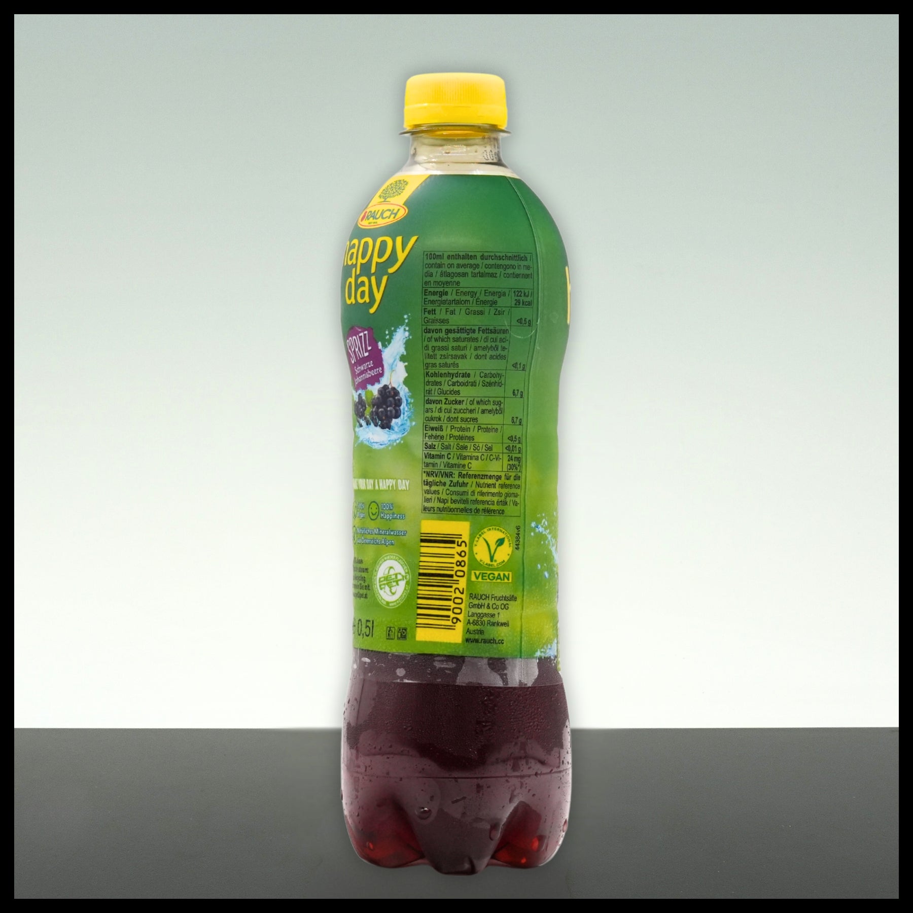 Rauch Happy Day Schwarze Johannisbeere Sprizz 0,5L - Trinklusiv