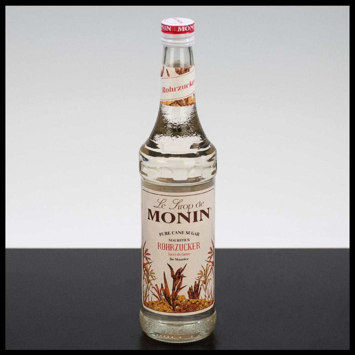 Monin Sirup Rohrzucker 0,7L - Trinklusiv