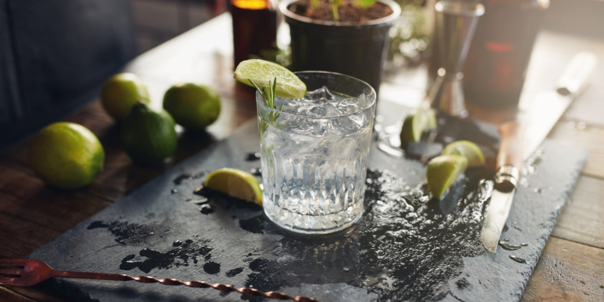 Welches Tonic Water passt zu welchem Gin? Trinklusiv Blog