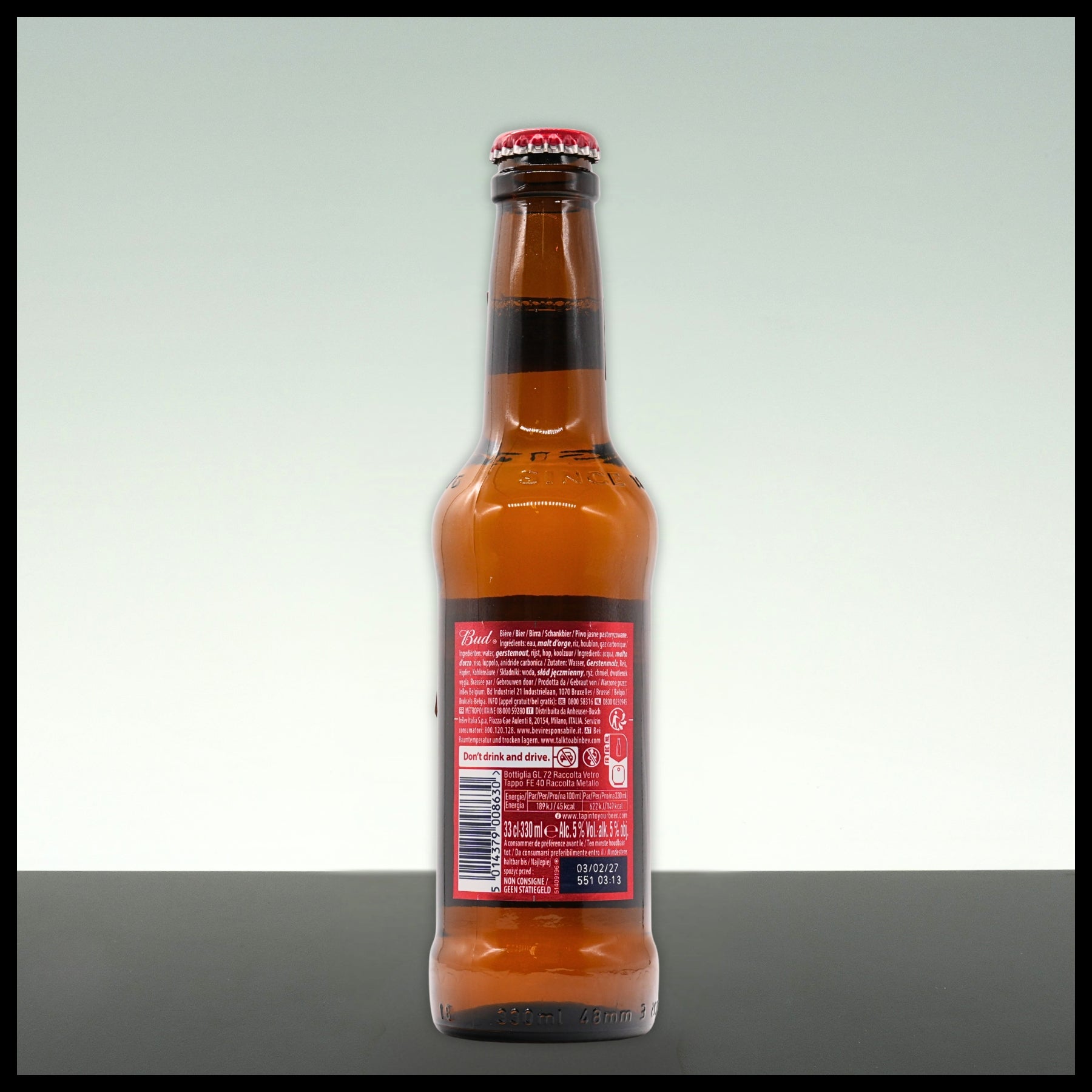 American Bud 0,33L - 5% Vol.