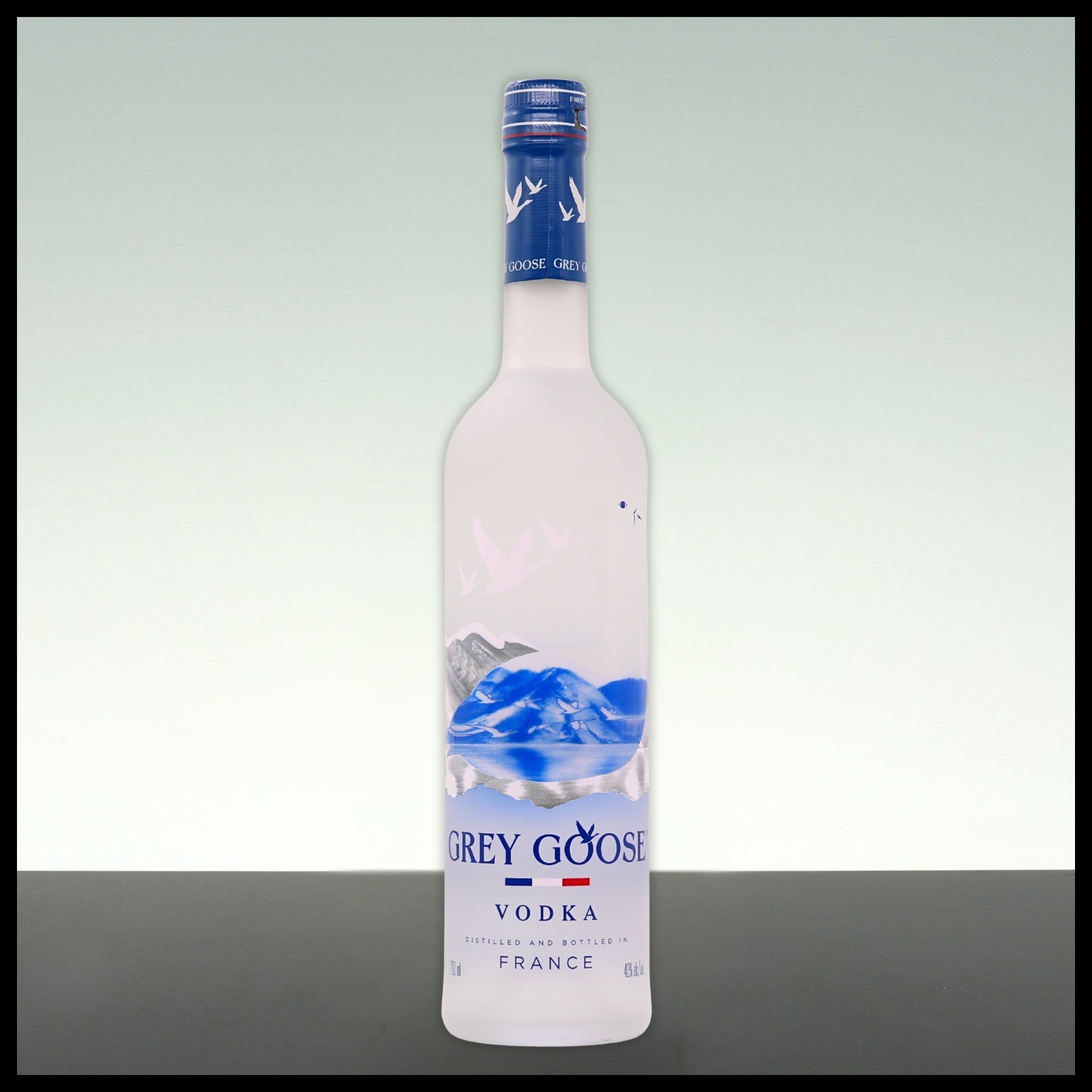 Grey Goose Vodka 0,7L - 40% Vol. - Trinklusiv
