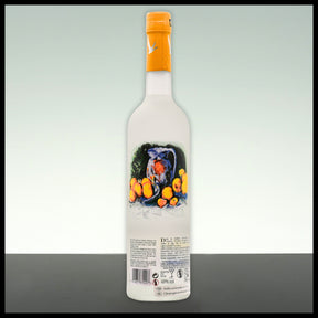 Grey Goose Vodka Le Citron 0,7L - 40% Vol.
