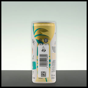 Malibu Pina Colada 0,25L - 5% Vol.