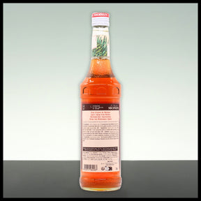 Monin Sirup Agave 0,7L - Trinklusiv