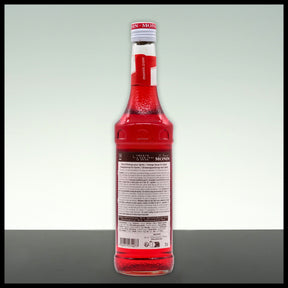Monin Sirup Orange Spritz 0,7L - Trinklusiv