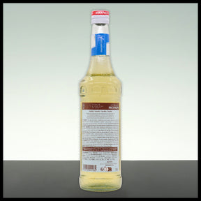Monin Sirup ZUCKERFREI Vanille 0,7L - Trinklusiv