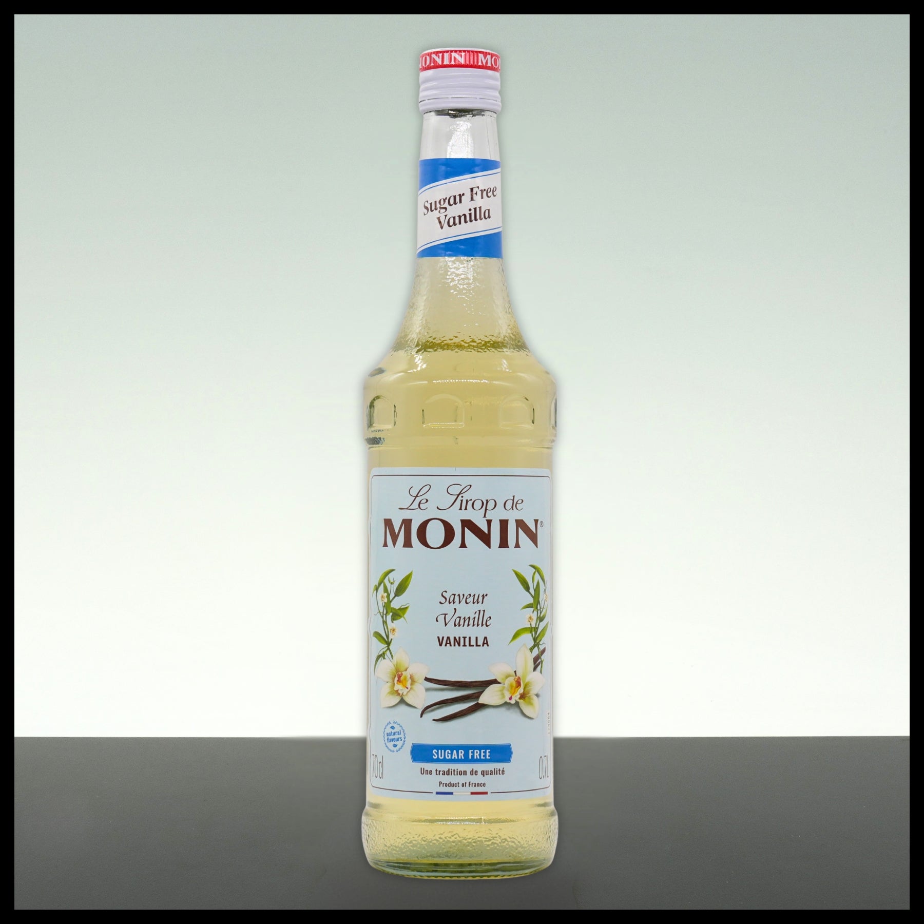 Monin Sirup ZUCKERFREI Vanille 0,7L - Trinklusiv