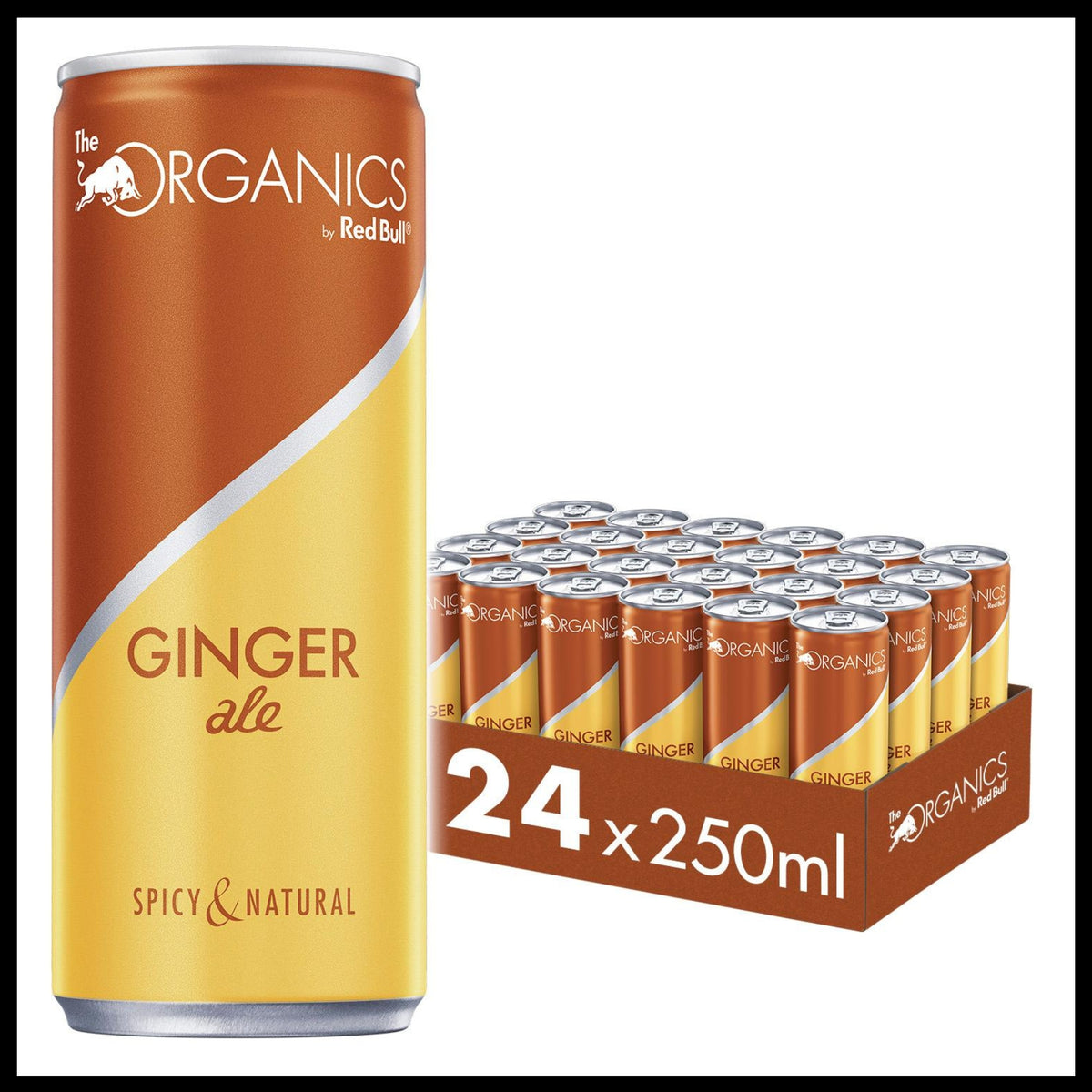 Organics by Red Bull Ginger Ale Dose 0,25L