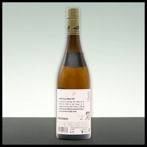Pfaffl Grüner Veltliner vom Haus 2025 0,75L - 12,5% Vol. - Trinklusiv