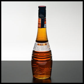 Bols Apricot Brandy Likör 0,7L - 24% Vol. - Trinklusiv