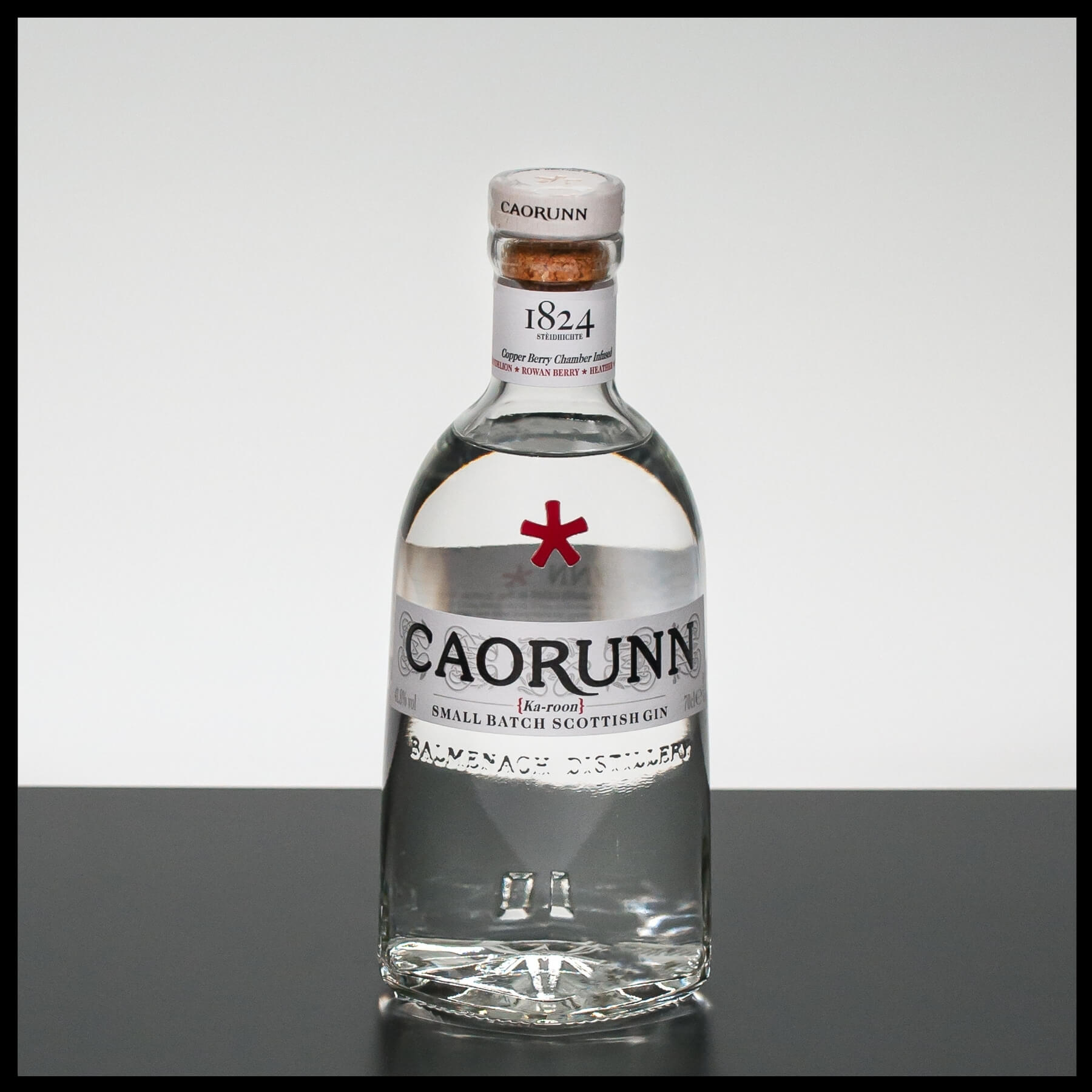 Caorunn Small Batch Scottish Gin 0,7L - 41,8% Vol. - Trinklusiv