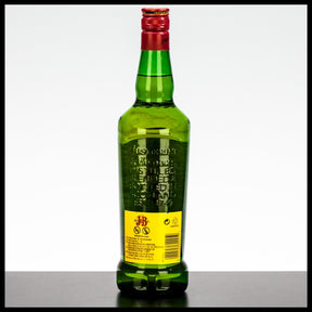 J&B Rare Blended Whisky 0,7L - 40% Vol. - Trinklusiv